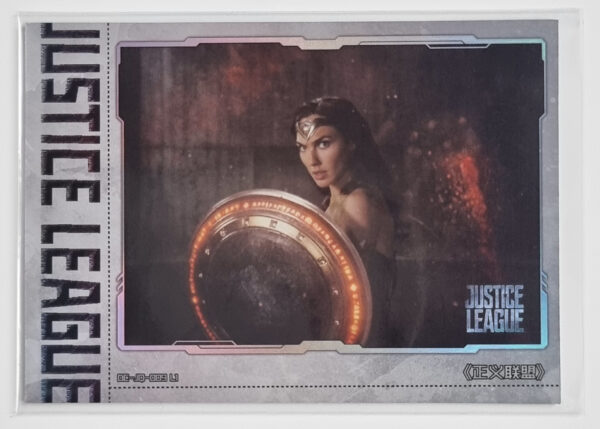 2023 Kayou DC Comics #DC-JQ-009 L1