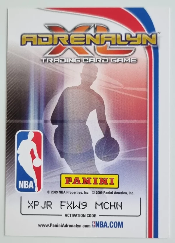 2009-10 Adrenalyn XL #117 Richard Hamilton – Image 2