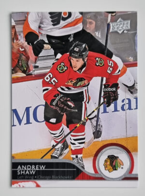 2014-15 Upper Deck #287 Andrew Shaw