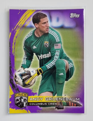 2014 Topps MLS Purple #48 Andy Gruenebaum