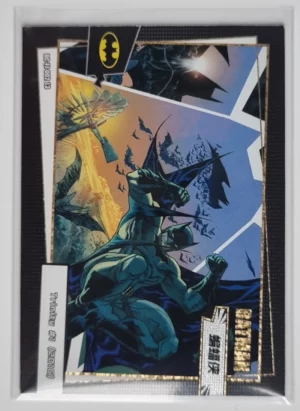 2023 Kayou DC Comics #DC-FJ-002 L3