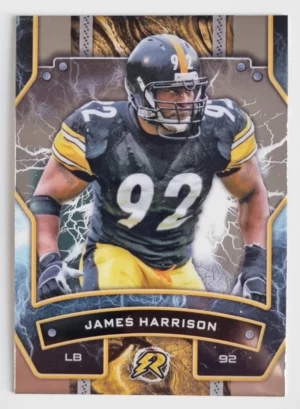 2024 Topps Resurgence #85 James Harrison