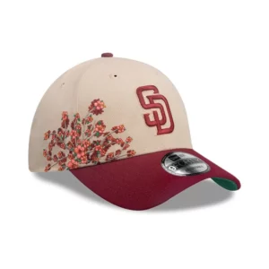 Casquettes